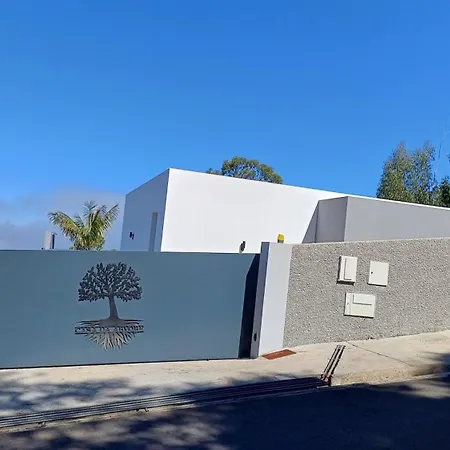 Ferienhaus Casa Da Arvore Arco da Calheta (Madeira)