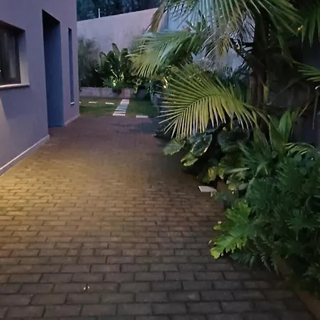 度假居 Casa Da Arvore