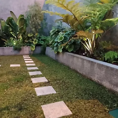 Casa Da Arvore Ferienhaus Arco da Calheta (Madeira)