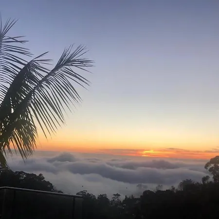 Casa Da Arvore * Arco da Calheta (Madeira)