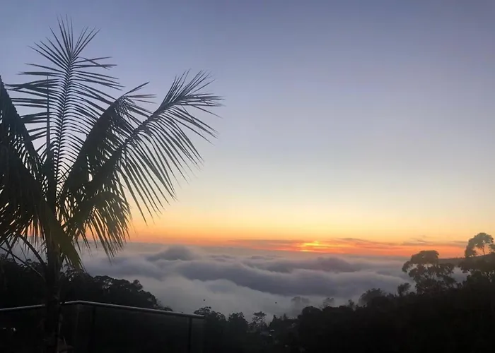 Casa Da Arvore * Arco da Calheta (Madeira)